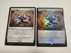 MTG　マジック・ザ・ギャザリング　日本語　アバターの怒り　2枚セット
