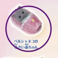 ⭐️ 실바니안 패밀리 ⭐️아기 컬렉션 ⭐️ 호시조라 파자마 파티 ⭐️①