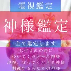 Iさま専用、お急ぎ、2件分、神様鑑定、神社鑑定◆霊視鑑定、占い