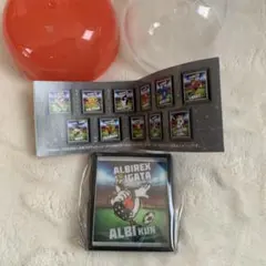 J2 アルビレックス新潟　マスコットフレームマグネット　カプセルトイ　ガチャ