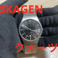 SKAGEN クォーツ チタン シルバー 233XLTTMのサムネイル