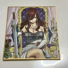 フェアリーテイル FAIRYTAIL エルザ ポストカード チェキ風カード