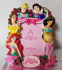 ディズニープリンセス フォトフレーム