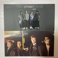 BACKSTREET BOYS バックス プレミアムチケットホルダー