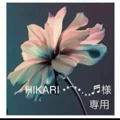 HIKARI様　専用