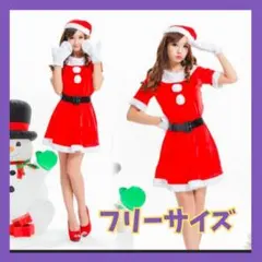 サンタ コスチューム 4点セット　レディース　クリスマス　ワンピース　コスプレ