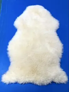 Item thumbnail for item 6f51bb06-3145-40e3-ac1a-dd2836aaaa3c