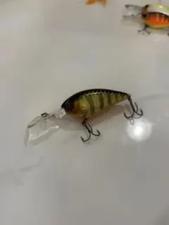 ジャッカル ディグル4+ シャンパンゴールドギル　ディープクランク
