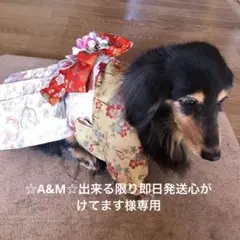 ☆A&M☆出来る限り即日発送心がけてます様専用