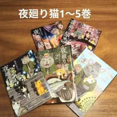 Item thumbnail for item a7035266-86d3-422a-8759-dff3ab5df462