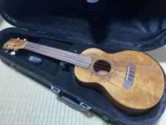 Item thumbnail for item febec36d-1d59-45b7-994a-710cda37db7f