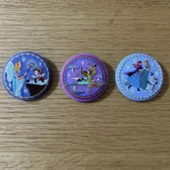 ディズニープリンセス刺繍ピンバッジ3個セット