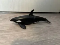 シャチ フィギュア アニアのサムネイル