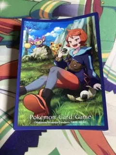 2026年最新】ポケモンカード デッキシールド ヒナツの人気アイテム