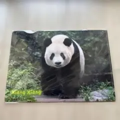 シャンシャン　A5クリアファイル