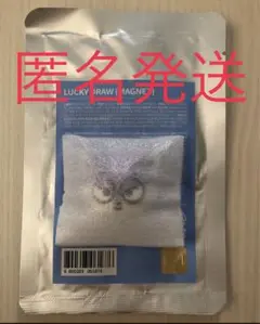 MINITEEN ラキドロ マグネット　ウォヌ　ポッドンイ