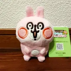 カナヘイの小動物