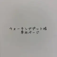 ウォーキングデッド様専用ページ☆*。