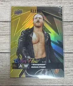 AEWカード アダム・ペイジ リフラクター まとめ買い専用 WWE