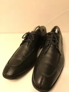 Item thumbnail for item a6b6c5d2-a738-490c-a453-49b94467b8fc