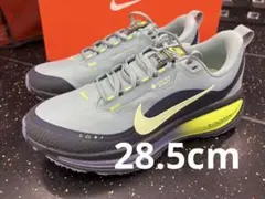 ナイキゴルフシューズ INFIN 1 TY TOUR GTX サイズ 26cm - メルカリ
