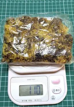 Item thumbnail for item 51fc3cc5-138a-4f55-b5ea-f24327d4c46d