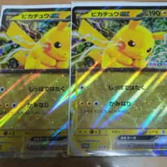 る*)様 2枚　ポケモン　メガスタンプラリー　2025 ピカチュウex　JR東日