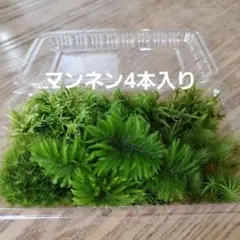 hy557255様 リクエスト 2点 まとめ商品のサムネイル