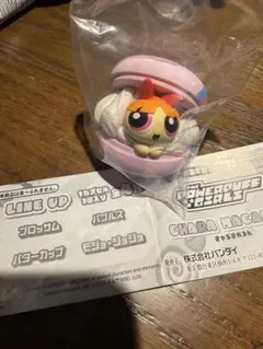 パワーパフガールズ きゃらまかろん ブロッサム