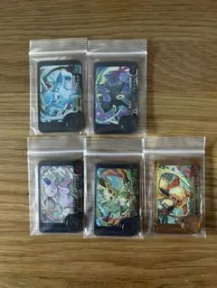 U*U様 ポケモンフレンダ　ワンダー　レガシーピック