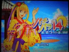 パチンコ CRスーパー海物語in沖縄　(パチパラ14) PS2