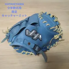 8*0様 ハタケヤマ硬式キャッチャーミット【ブルー】 - メルカリ