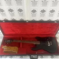 シェクター Schecter Diamond series DEMON-FRのサムネイル
