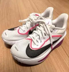 NIKE ドラゴンフライ初代 28.0 - メルカリ