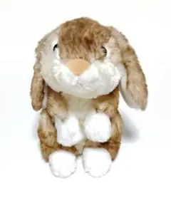 ちゅぱちゅぱうさぎ足のこっせつしたぬいぐるみ ちゅぱちゅぱうさぎ足のこっせつしたぬいぐるみ - メルカリ