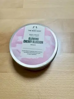 Item thumbnail for item 7f61acf9-60d9-409c-8824-0f9a549cea8a