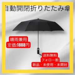 折りたたみ傘 大きい