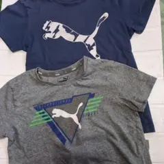 １３０cmプーマtシヤツ２枚セット