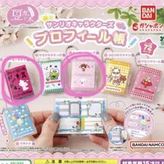 サンリオ　プロフィール帳　２種セット　チャーミーキティ　シュガーバニーズ