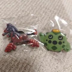 ポケモンセンター ソニア ワンパチ トレーナーズ 缶バッジ ガラル地方
