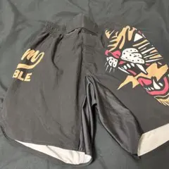 Item thumbnail for item e131574f-f264-4be3-8229-d66b3d50d402