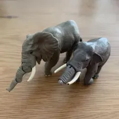 アニア　ゾウ　セット　匿名配送