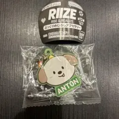 RIIZE アントン ガチャ ぷっくりめじるしアクセサリー　ライズ