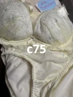 チュチュアンナ ブラショーツセットc75 新品