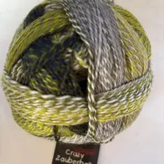 Crazy Zauberball 毛糸 Gruene Woche 2204