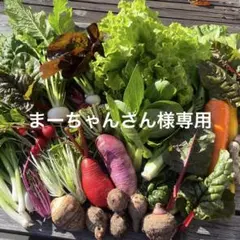 まーちゃんさん様専用