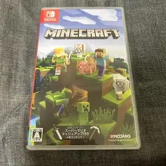 Minecraft Nintendo Switch版