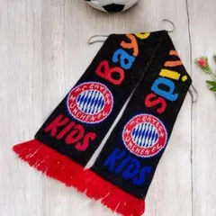 Item thumbnail for item 4aaa0313-3455-4c75-9e83-7e8ee9aaf94b