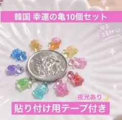 【韓国で大人気】幸運のカメ 10個セット コブギ 韓国雑貨 お守り テープ付き