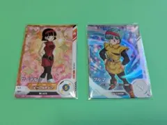 SDV2-053 ビーデル SDV2-025 ブルマ 2枚セット